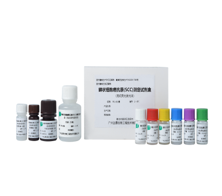 BC贷·(中国区)官方网站