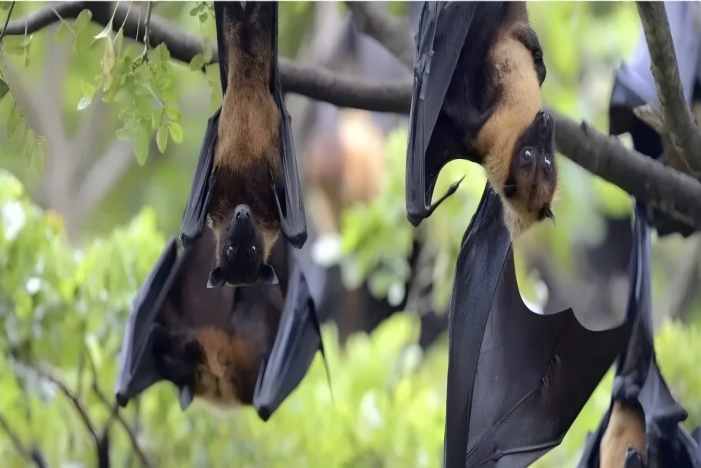 BC贷·(中国区)官方网站